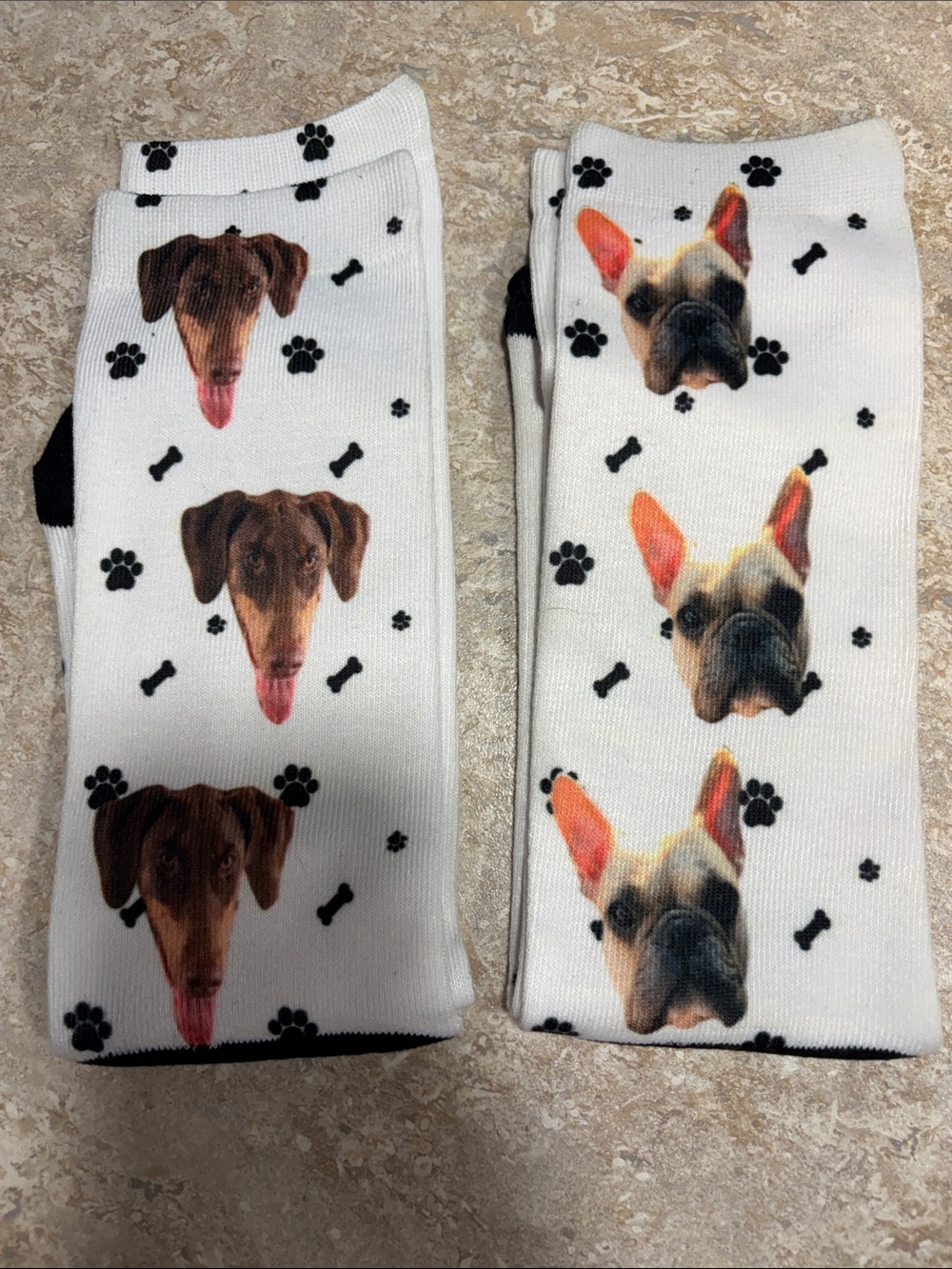 Socks 
Doberman and French bulldog